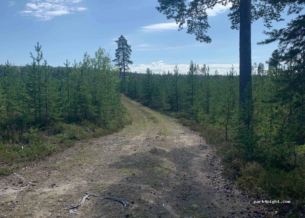 (842 94) Sveg - Unnamed Road — foto