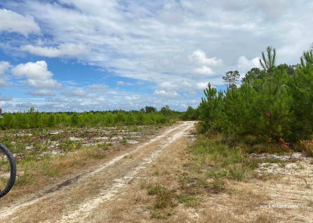 (40600) Biscarrosse - Unnamed Road — foto