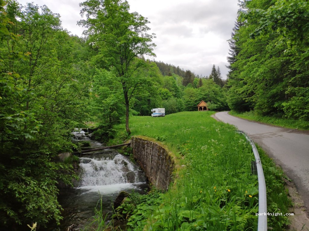 Międzylesie Forest District — foto 2
