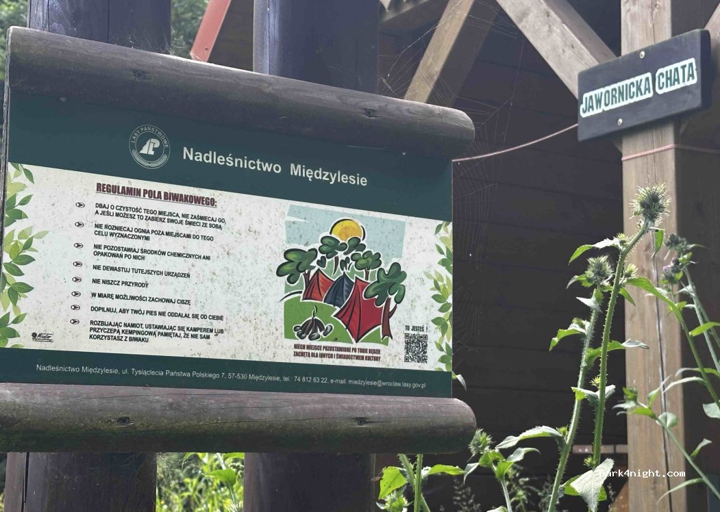 Międzylesie Forest District — foto 5