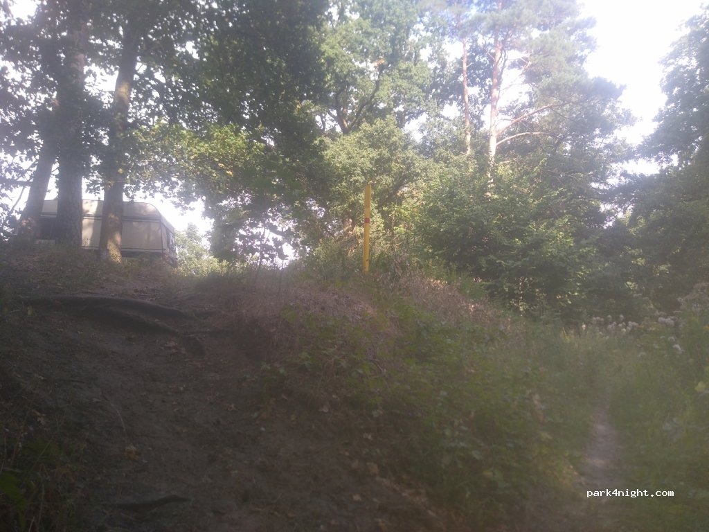 (38518) Gifhorn - — foto