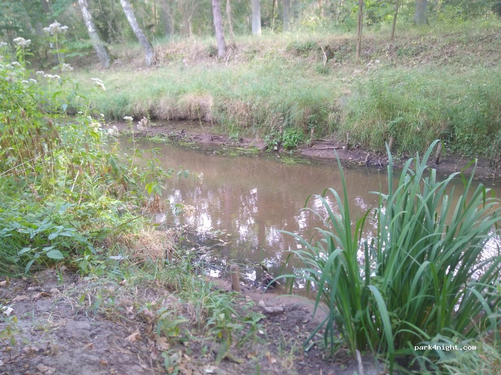 (38518) Gifhorn - — foto 2