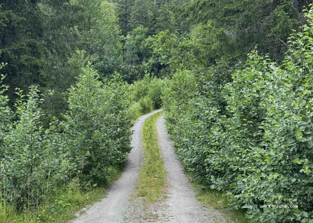 (7170)  - Primær Fylkesveg 715 — foto 5