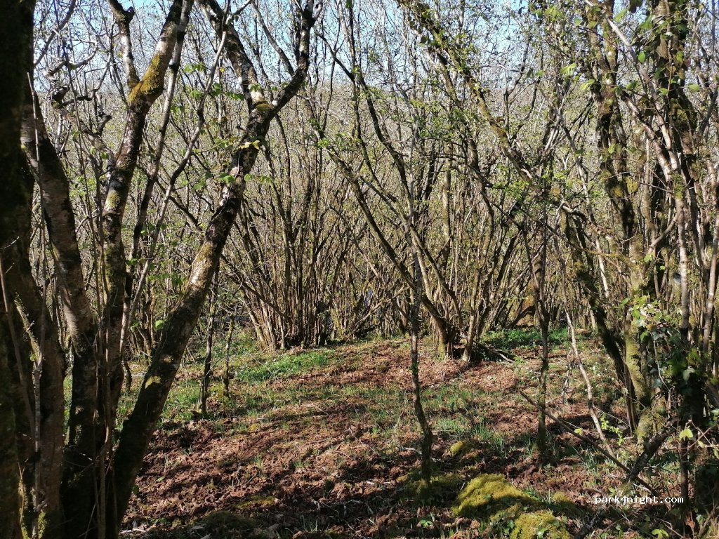 (A75 NR59) Monaghan - Unnamed Road — foto