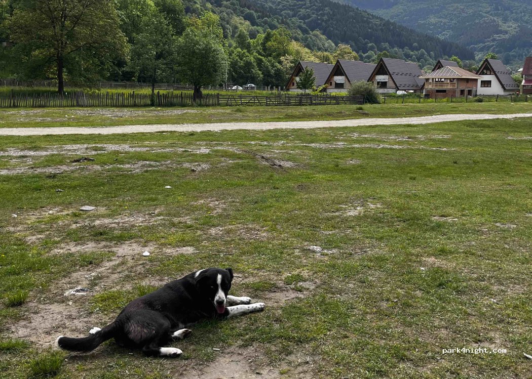 () Slobozia - Strada Amiral Dan Zaharia — foto 4