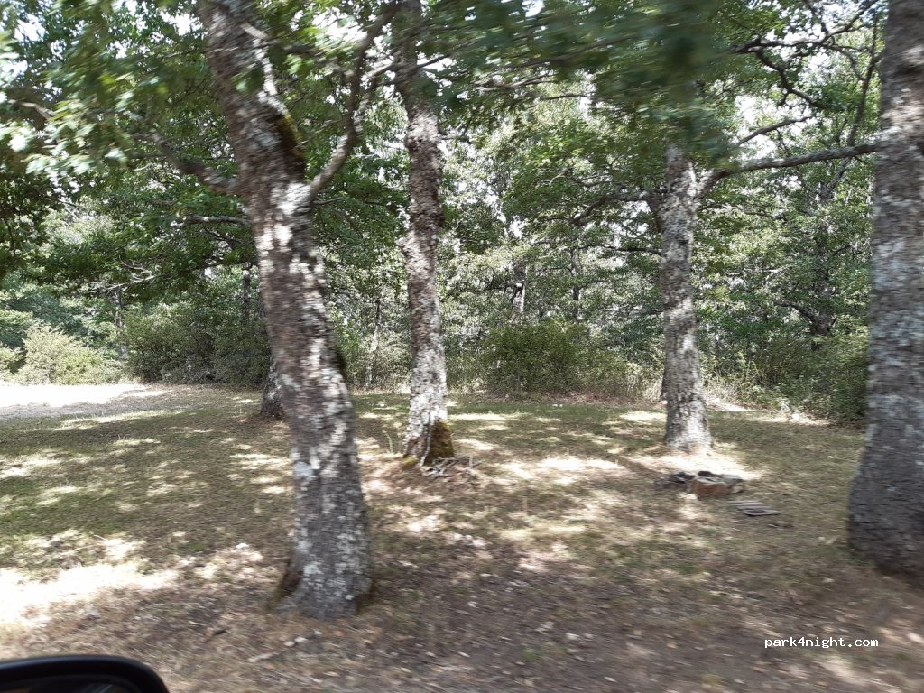 (85010) Pignola - Strada Statale 92 — foto 3