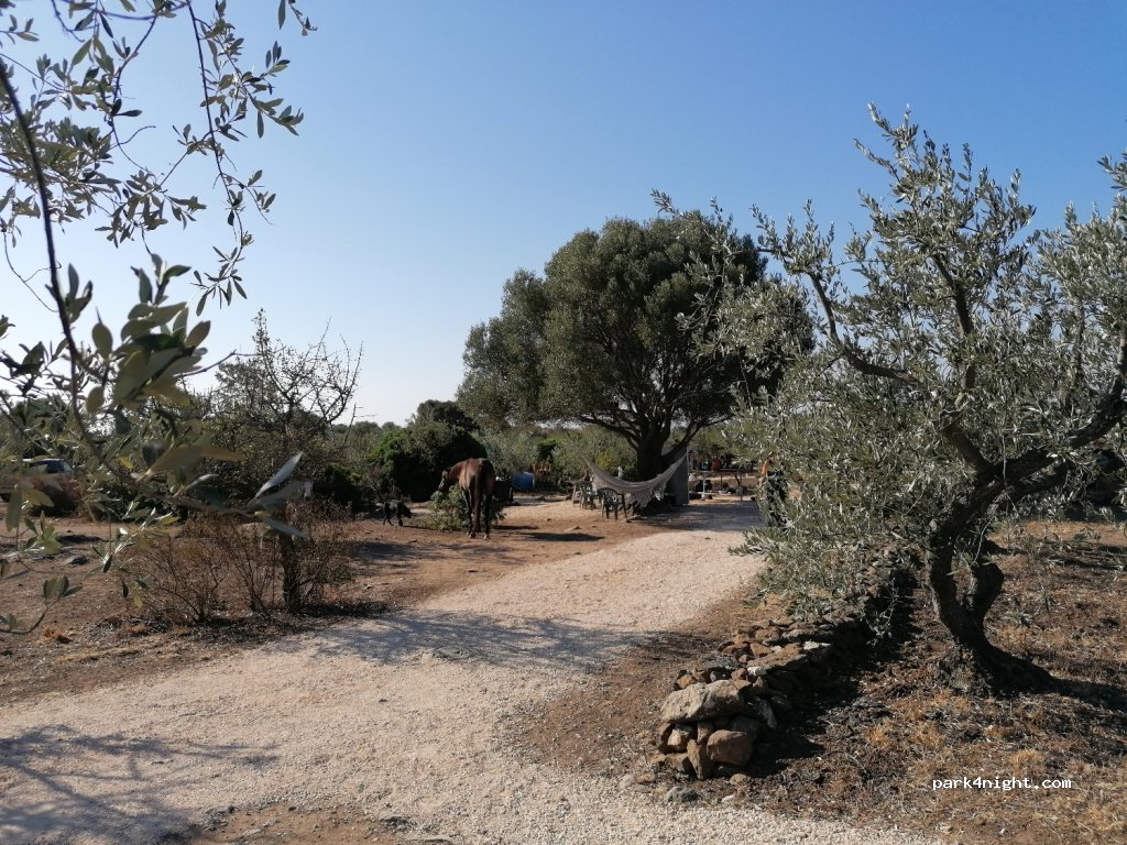 Camping Ingrid Shambala — foto 2