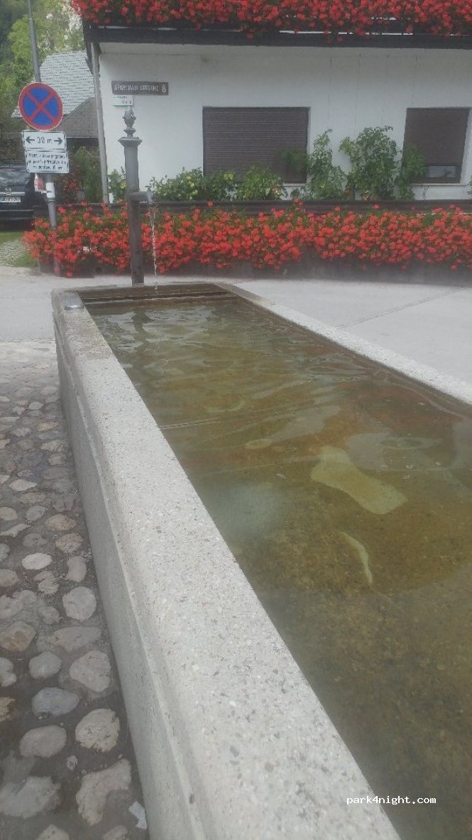 (4263)  - 8 Bohinjska Bela — foto