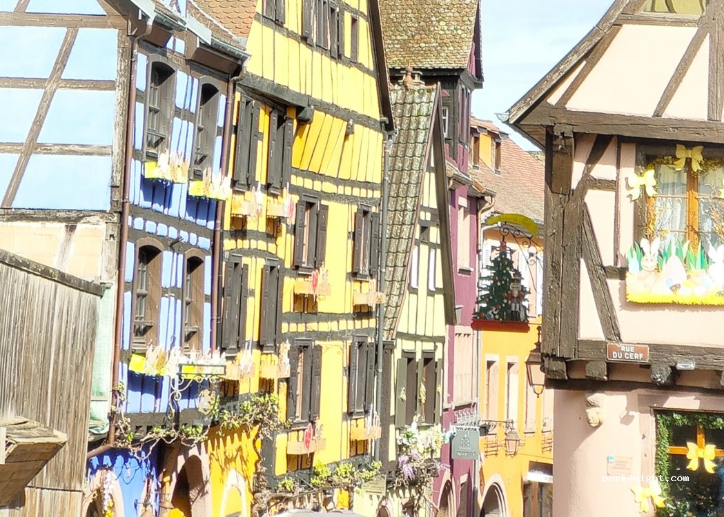 Camping de Riquewihr — foto 5