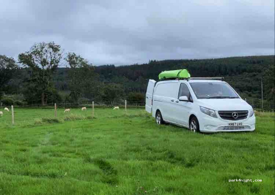 Bryn Bwch Camping — foto