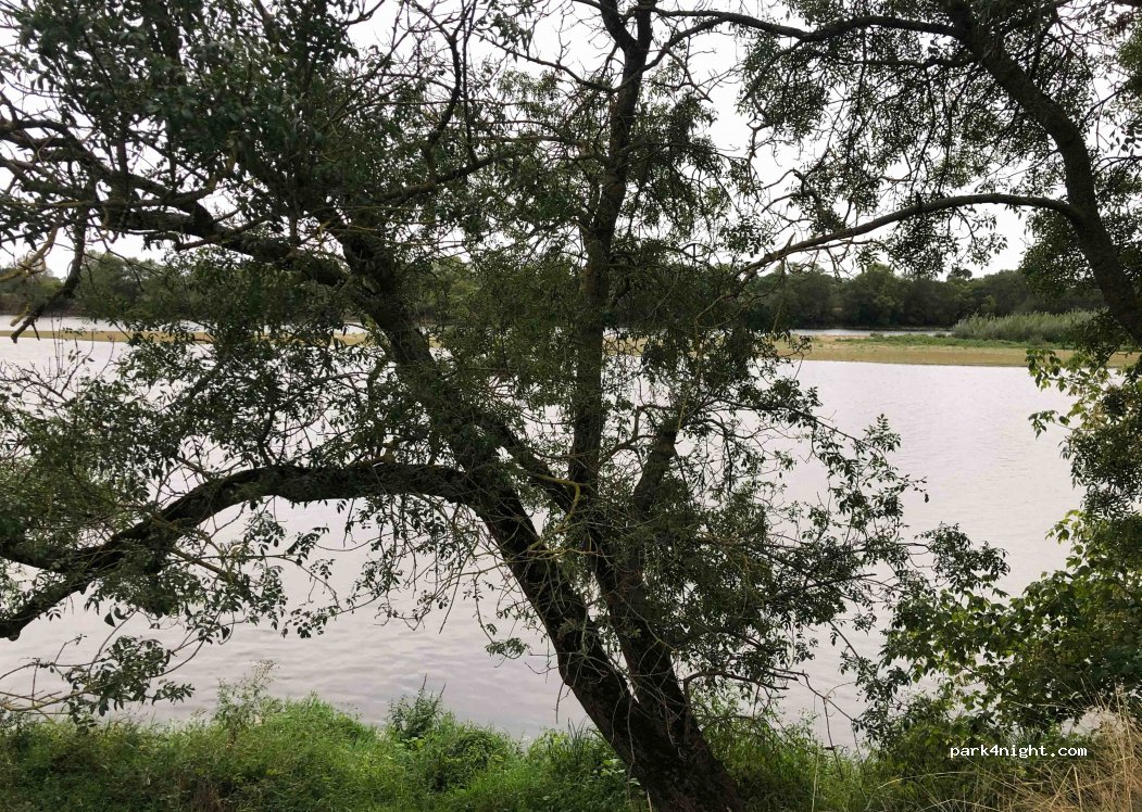 (49400) Saumur - Chemin de la Petite Monnie — foto 2