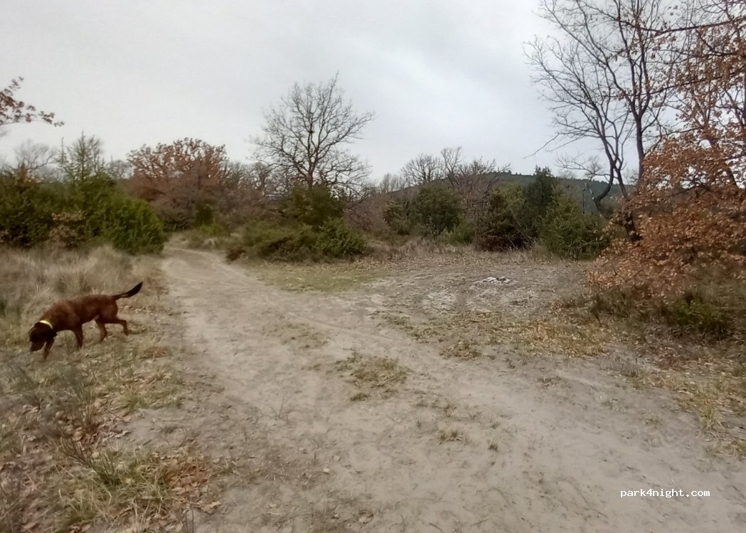 (84120) Beaumont-de-Pertuis - Unnamed Road — foto