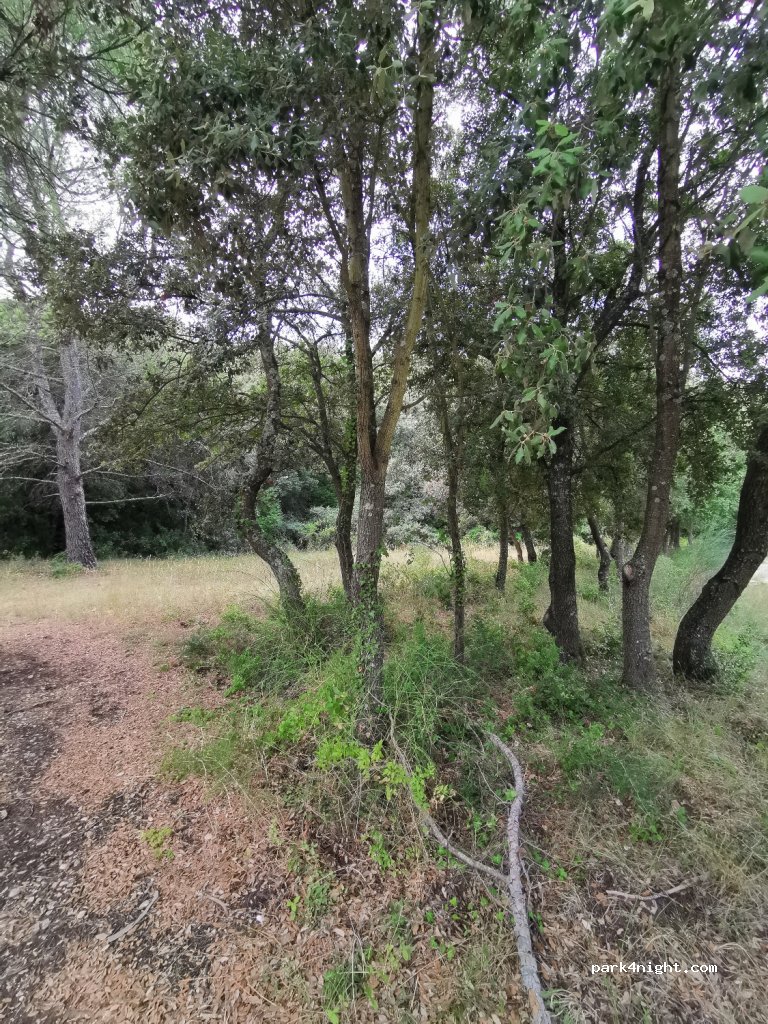 (30210) Valliguières - Route de Tavel — foto