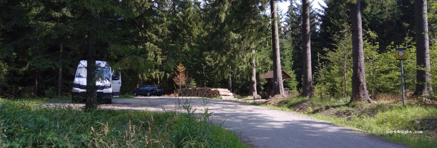 (57-340) Duszniki-Zdrój - Droga Wojewódzka 389 — foto