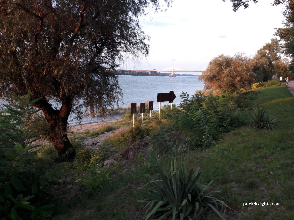 (205200) Calafat - Str. Baba Lupa — foto 2