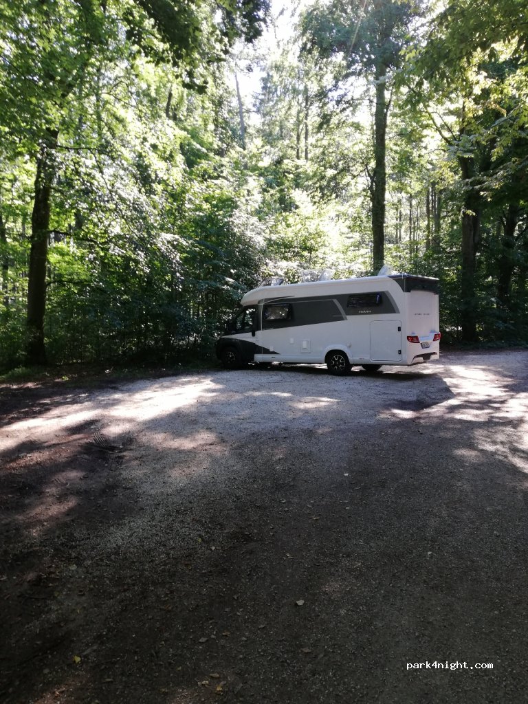(92339) Haunstetter Forst - EI21 — foto