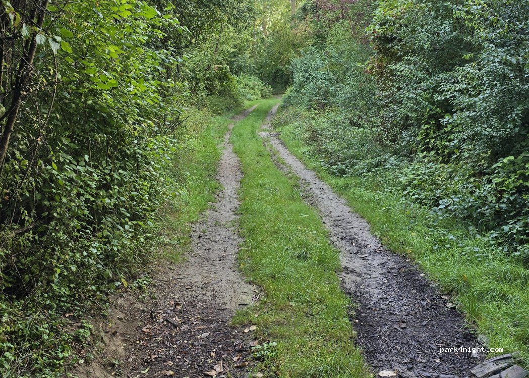 (51480) Damery - Chemin du Champ Râpé — foto 3