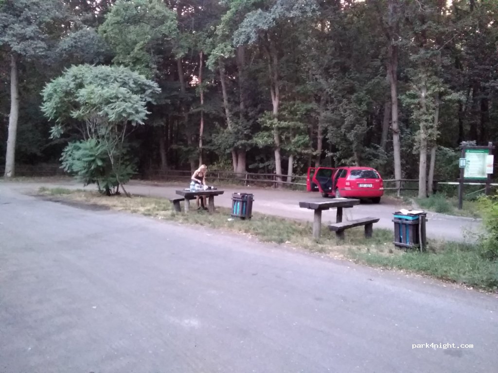 (62-060) Poznański - Poznańska — foto