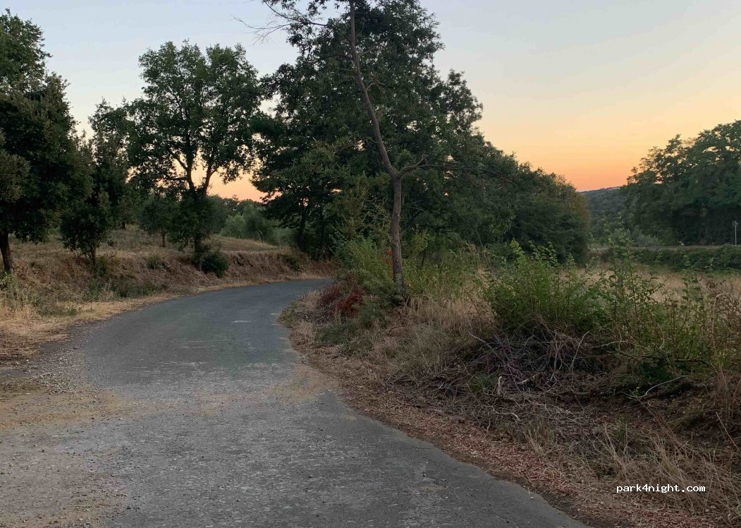 (58054) Pancole - Strada Provinciale 159 — foto
