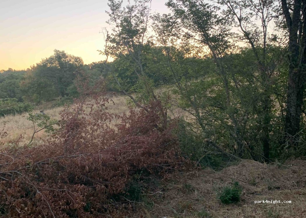 (58054) Pancole - Strada Provinciale 159 — foto 2