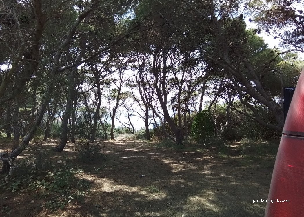 (09010) Porto Pinetto - 47 Via del Pino d'Aleppo — foto 4