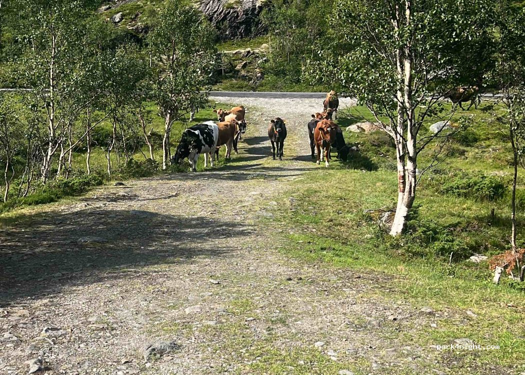 (5627)  - Unnamed Road — foto 4