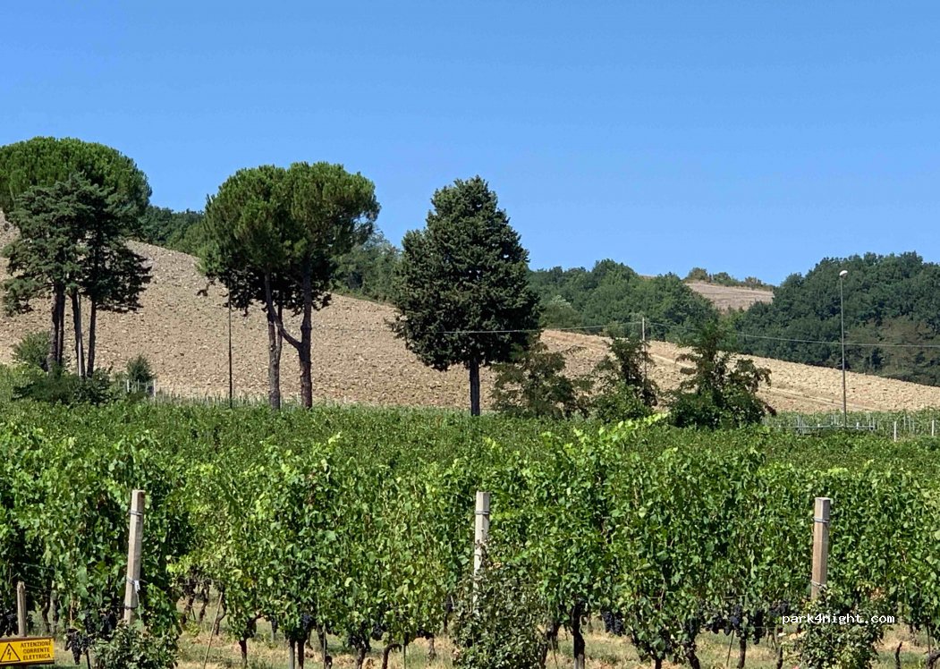 Tenuta Casali — foto 2