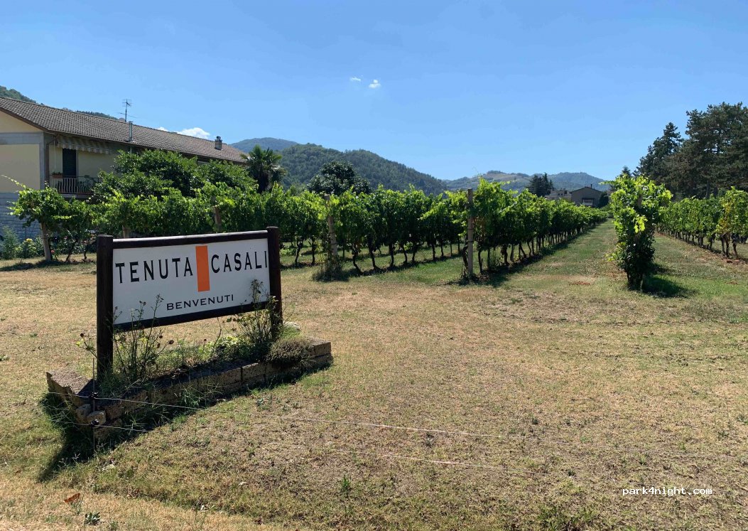 Tenuta Casali — foto 3