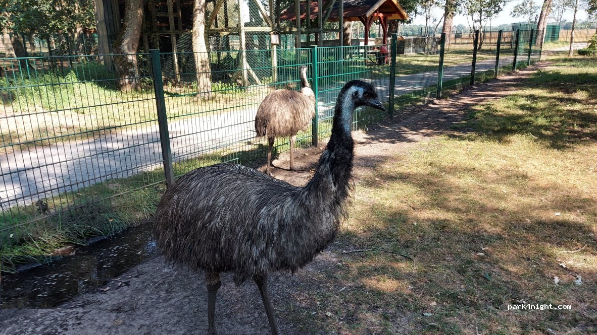 (39517) Weißewarte - 3 Am Wildpark — foto 4