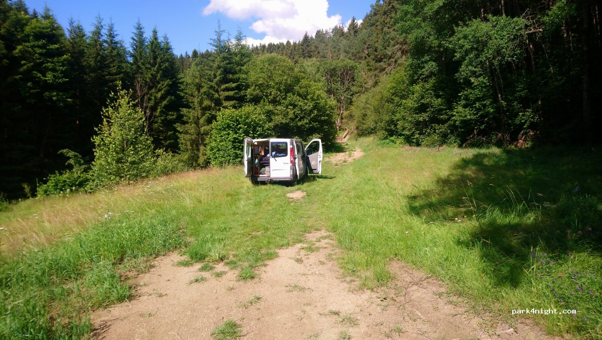 (3911) Reichenbach - 4 Reichenbach — foto