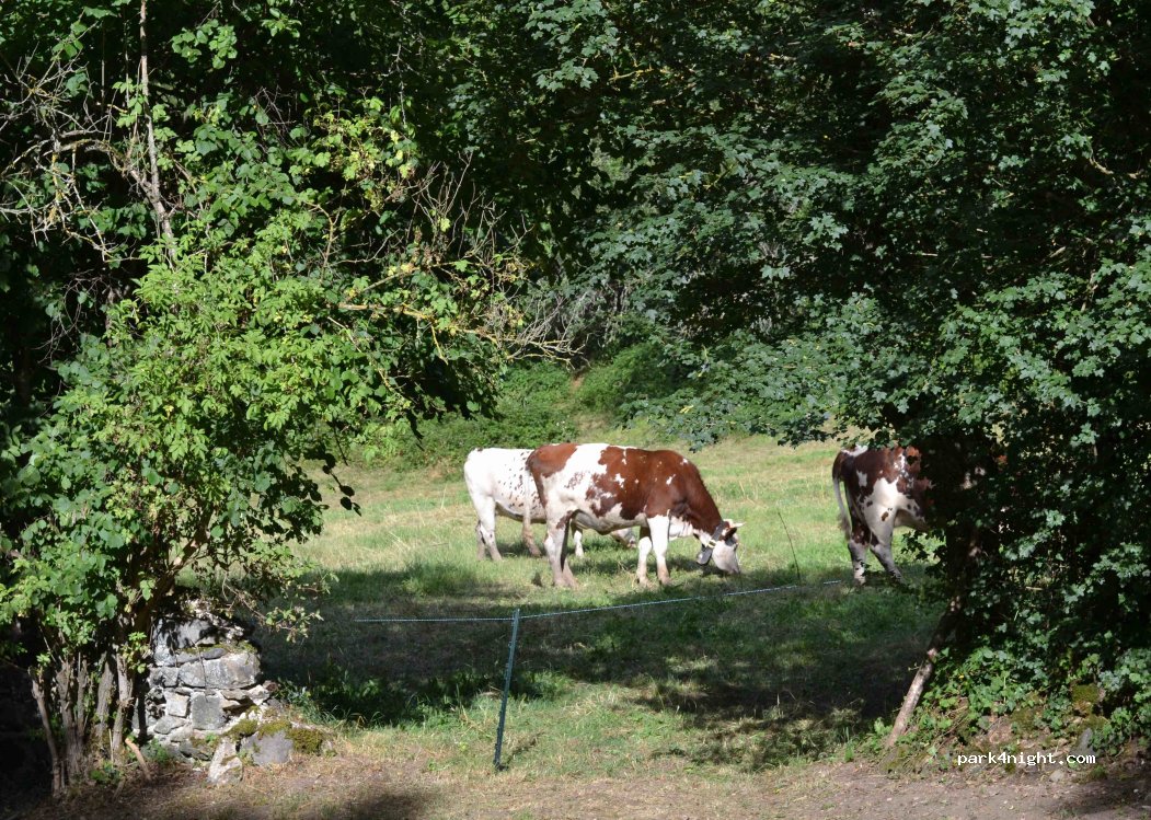 (63320) Courgoul - D26 — foto 2