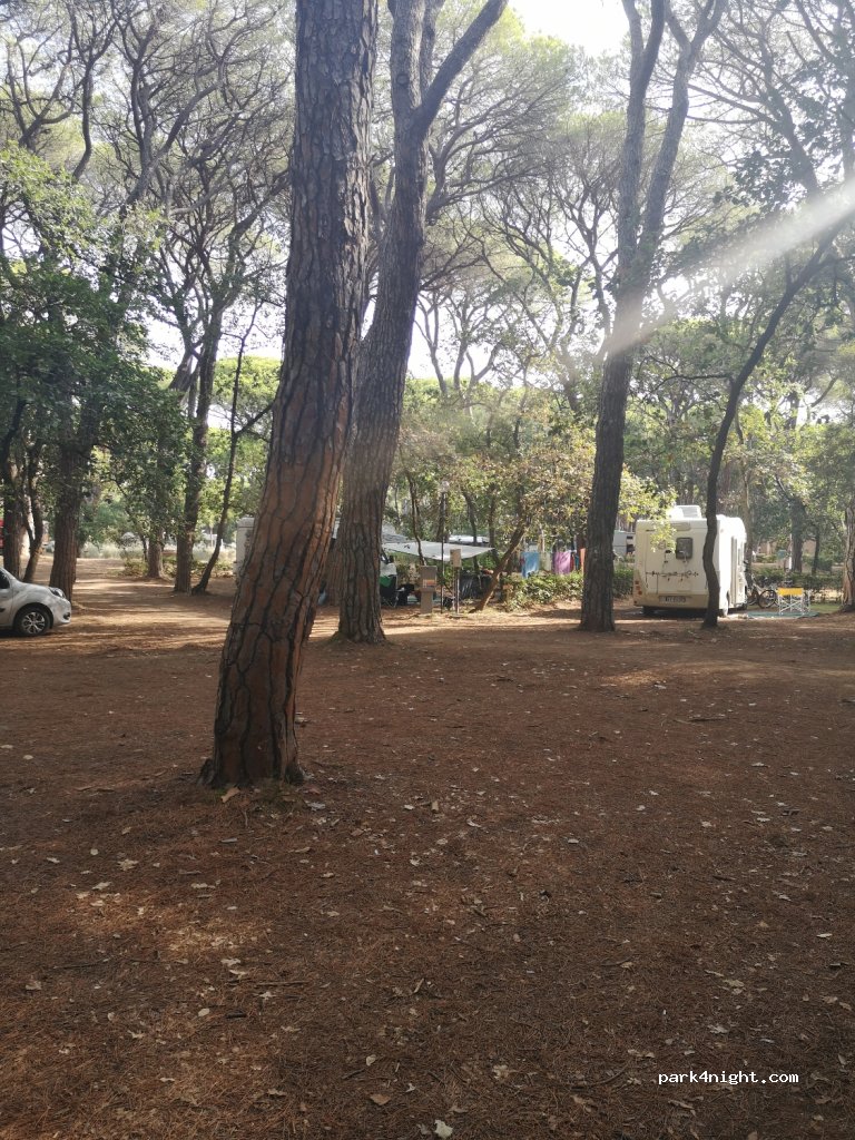 Le Marze Camping Village — foto