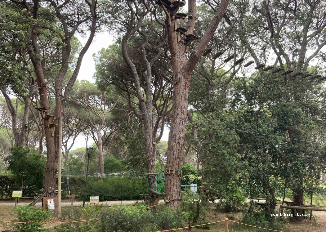 Le Marze Camping Village — foto 3