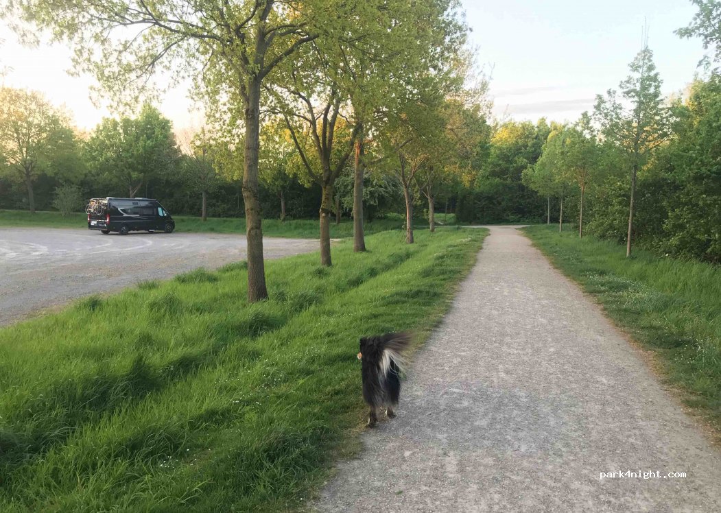 (47447) Moers - 66 Länglingsweg — foto 2