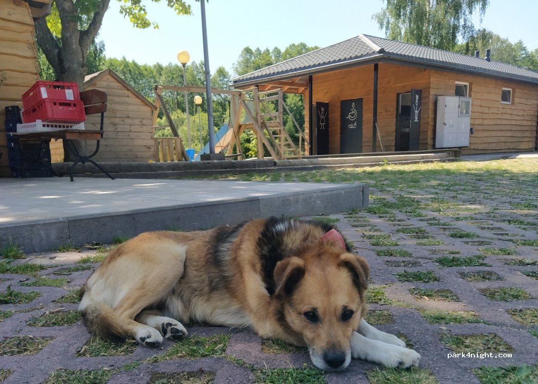 Camping Łoś — foto 4