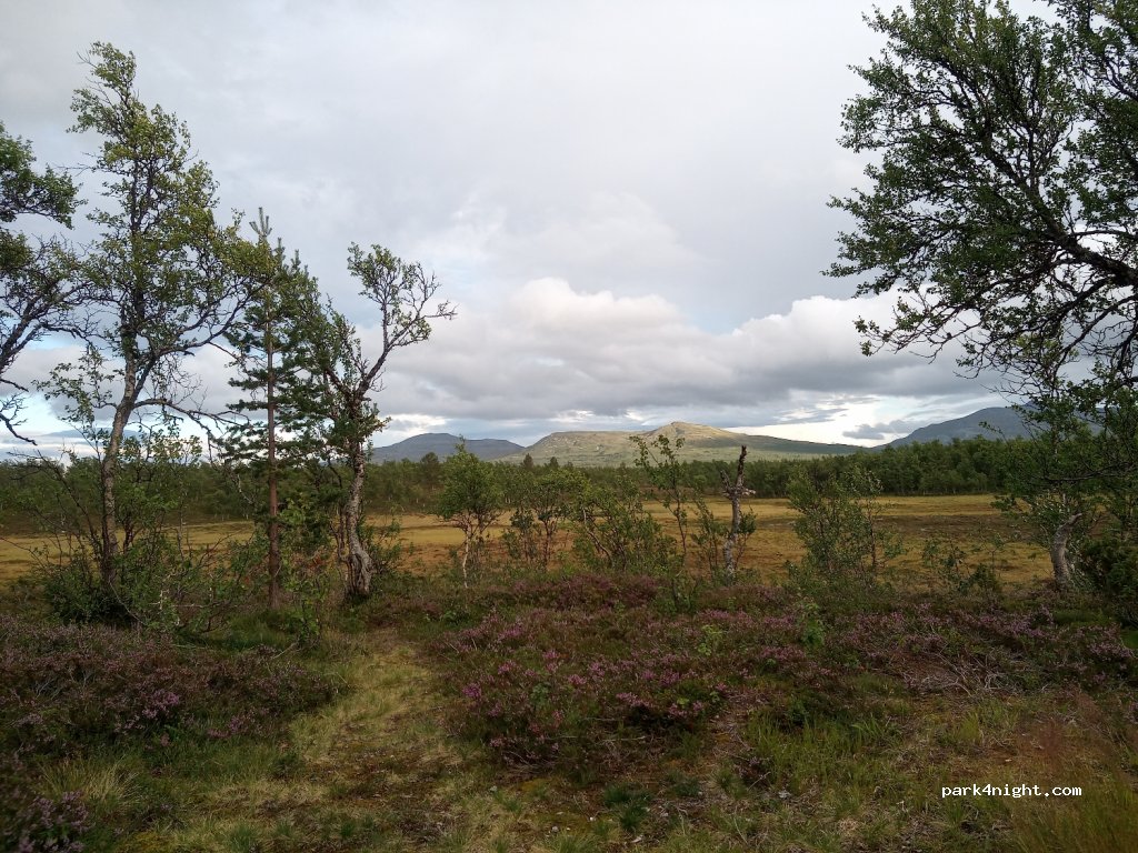 (840 95) Masslingen - Unnamed Road — foto 2