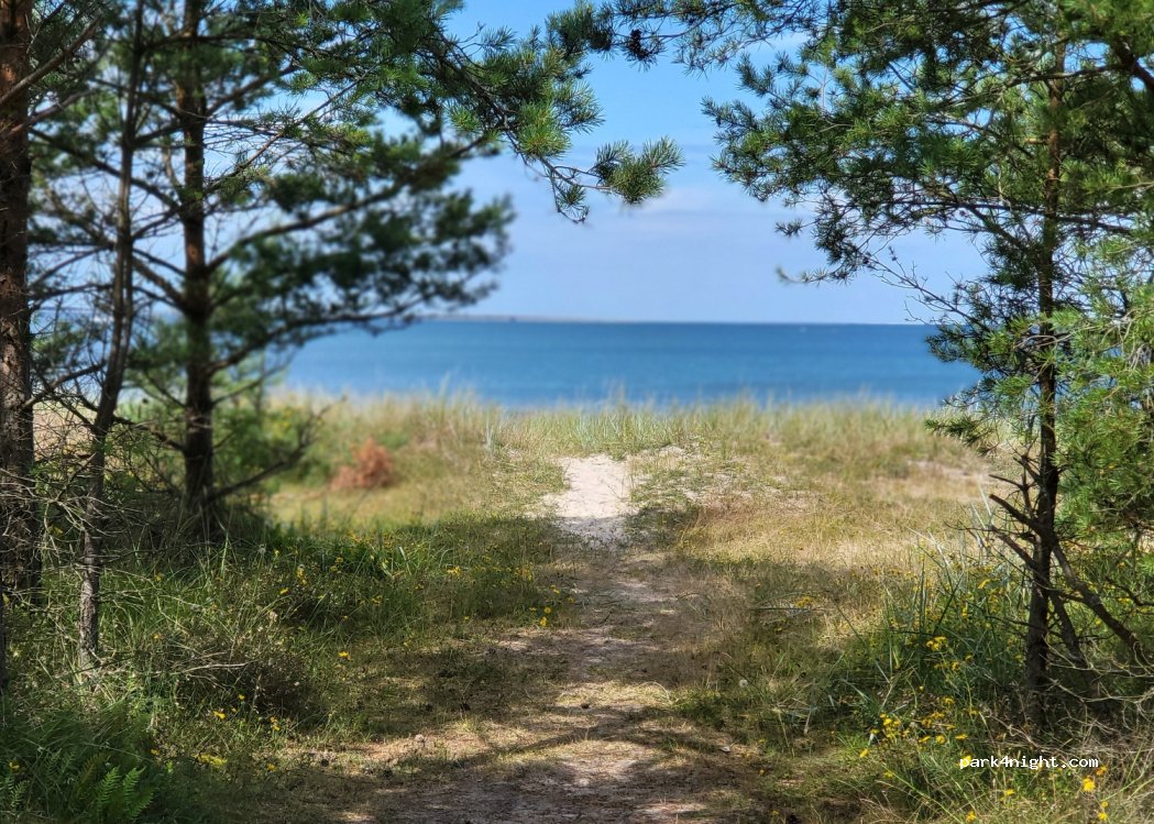 (624 67) Ajke och Ringvida - 6605 FÅRÖ SKÄR — foto 2