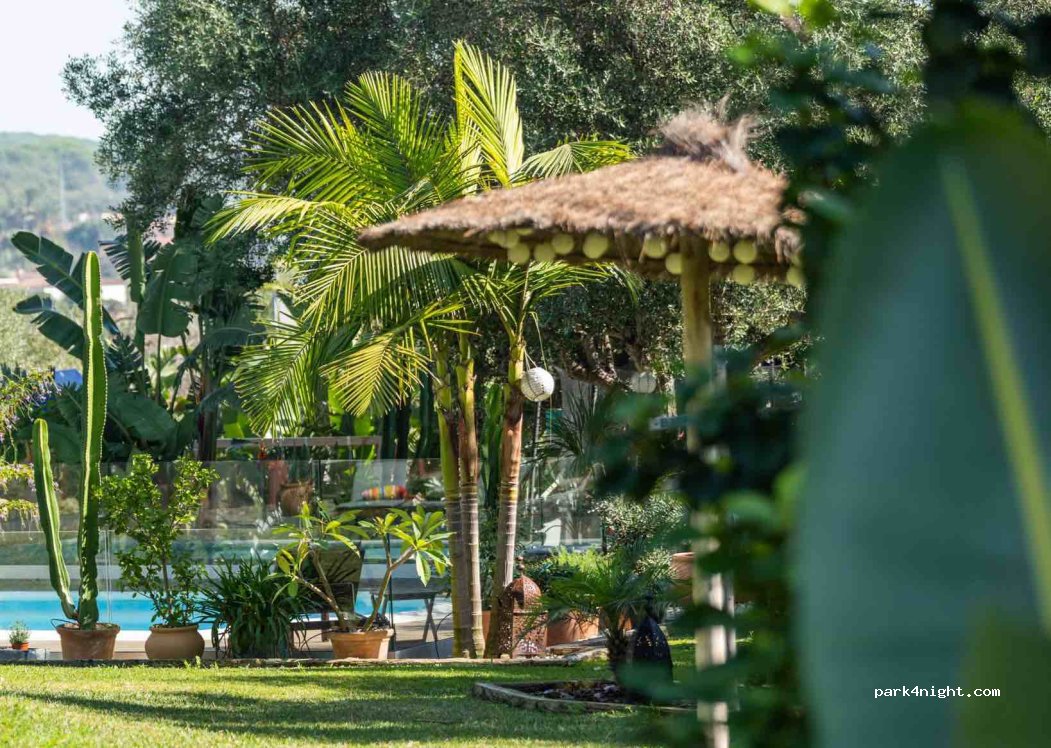 Soul Casas — foto 4