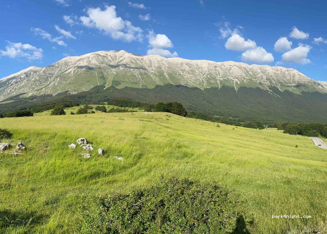 Hotel Celidonio — foto 4