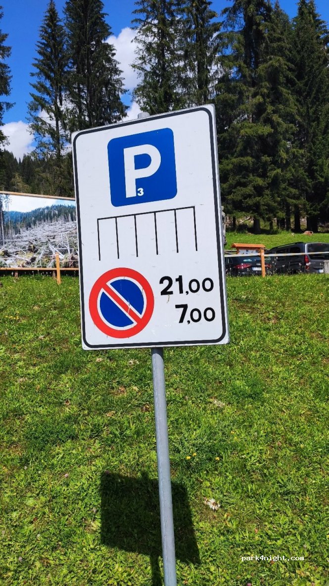 (38037) Paneveggio - Strada Statale 50 — foto 2