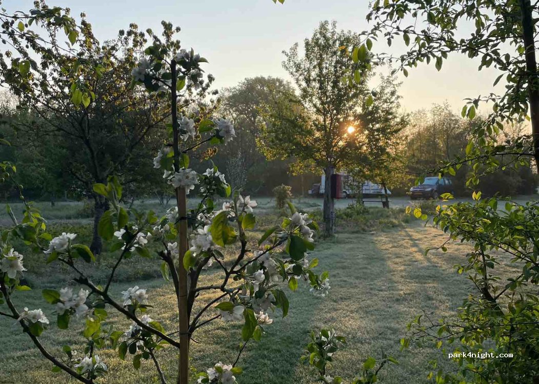 Mini camping De Bulte — foto