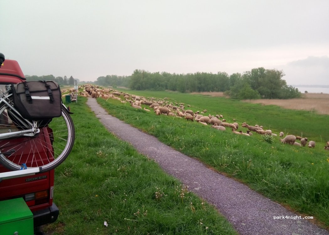 (21706) Drochtersen - Am Ruthenstrom — foto 3