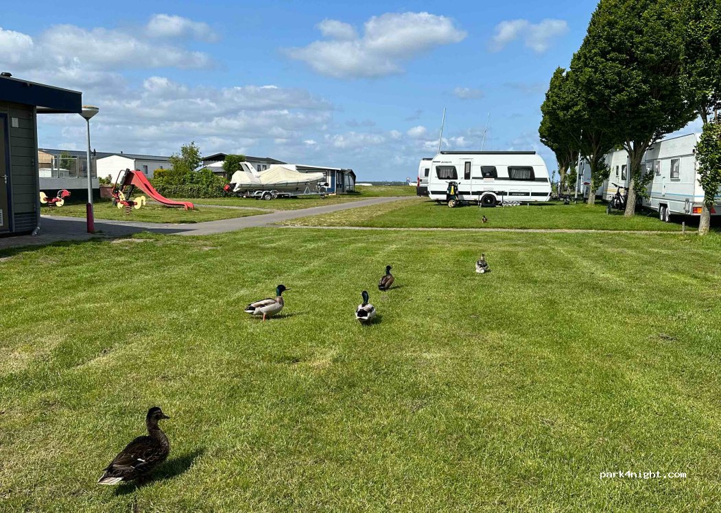 Camping Strandbad — foto 3