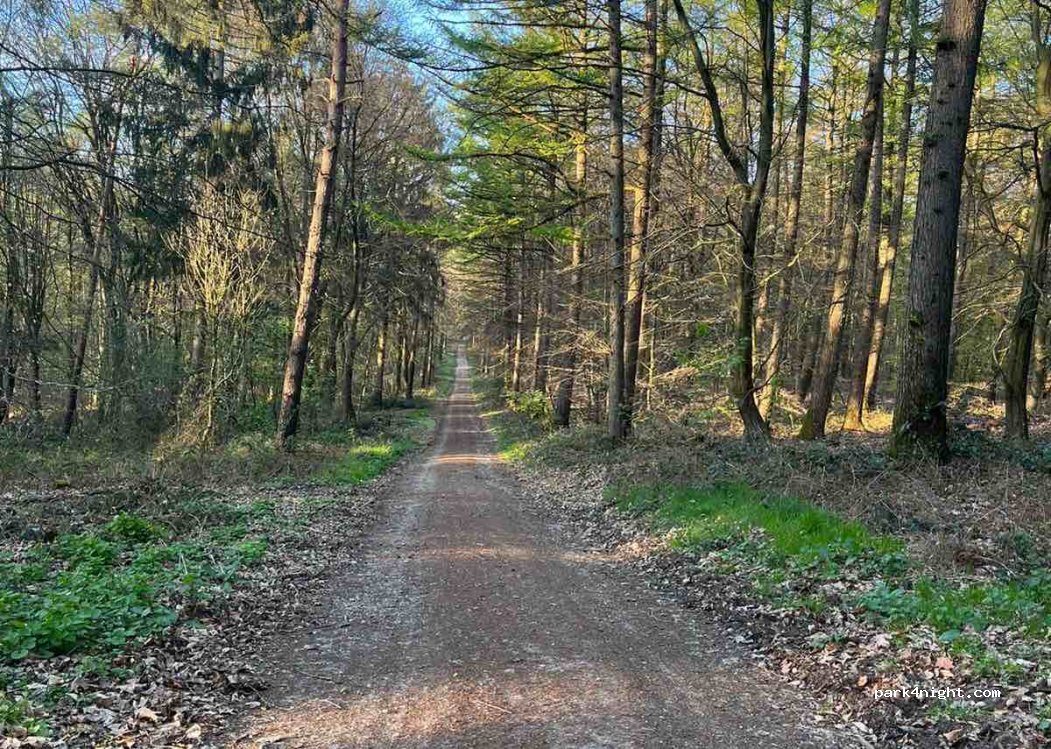 (47559) Kranenburg - Kartenspielerweg — foto 3