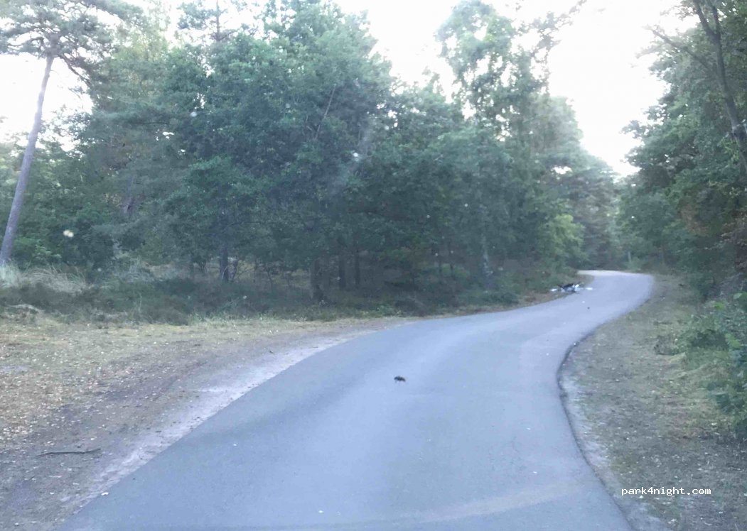 (276 45)  - Bjeringsborgsvägen — foto