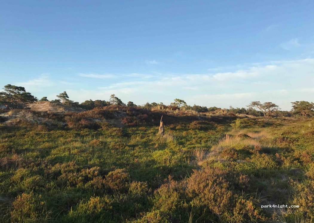 (276 45)  - Bjeringsborgsvägen — foto 2