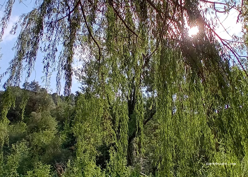 (03450) Banyeres de Mariola - 898 Paratge Partida el Bovar — foto 4