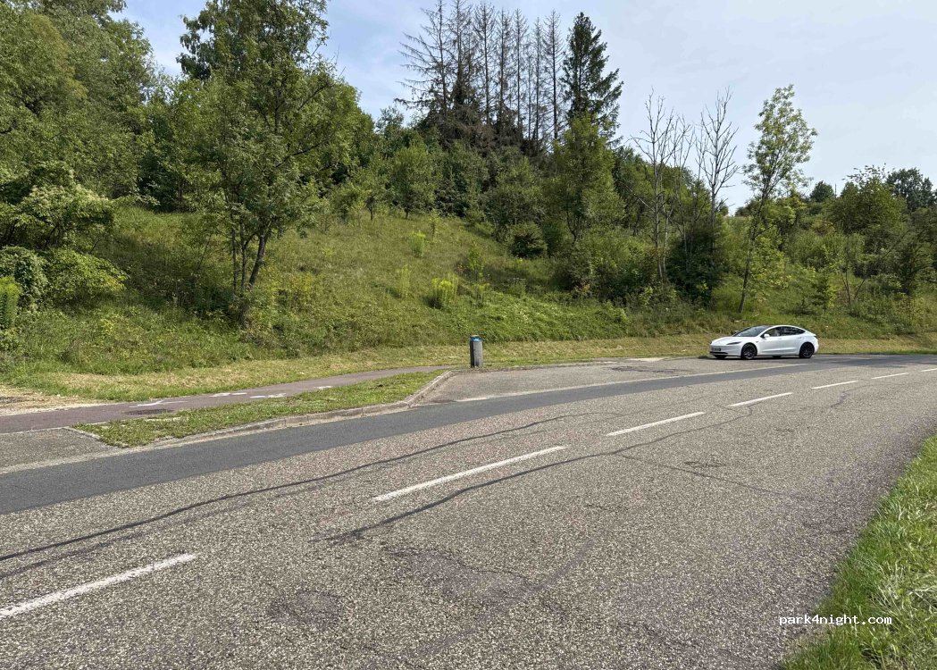 (57200) Sarreguemines - 141-125 Avenue de la Blies — foto 4