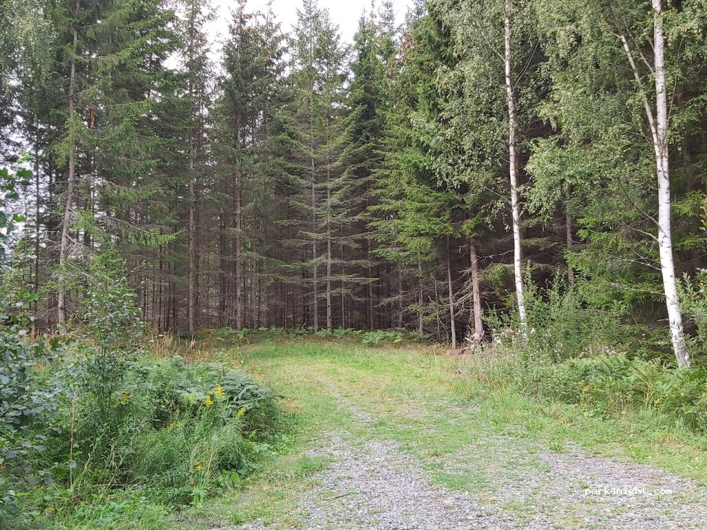 (591 97)  - Unnamed Road — foto