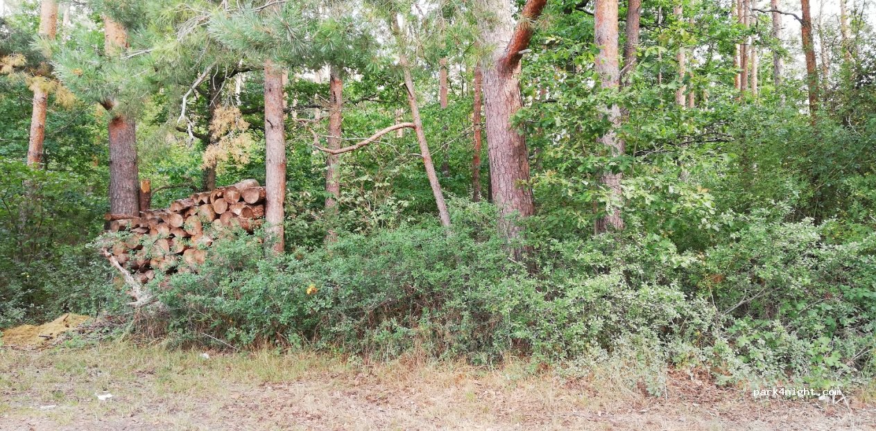 (97286) Sommerhausen - Zu den Aussiedlerhöfen — foto